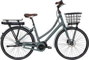 Raleigh Sussex E2  7g  Mat Grøn