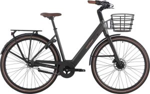 Winther Spirit Unisex E-Bike Matsort